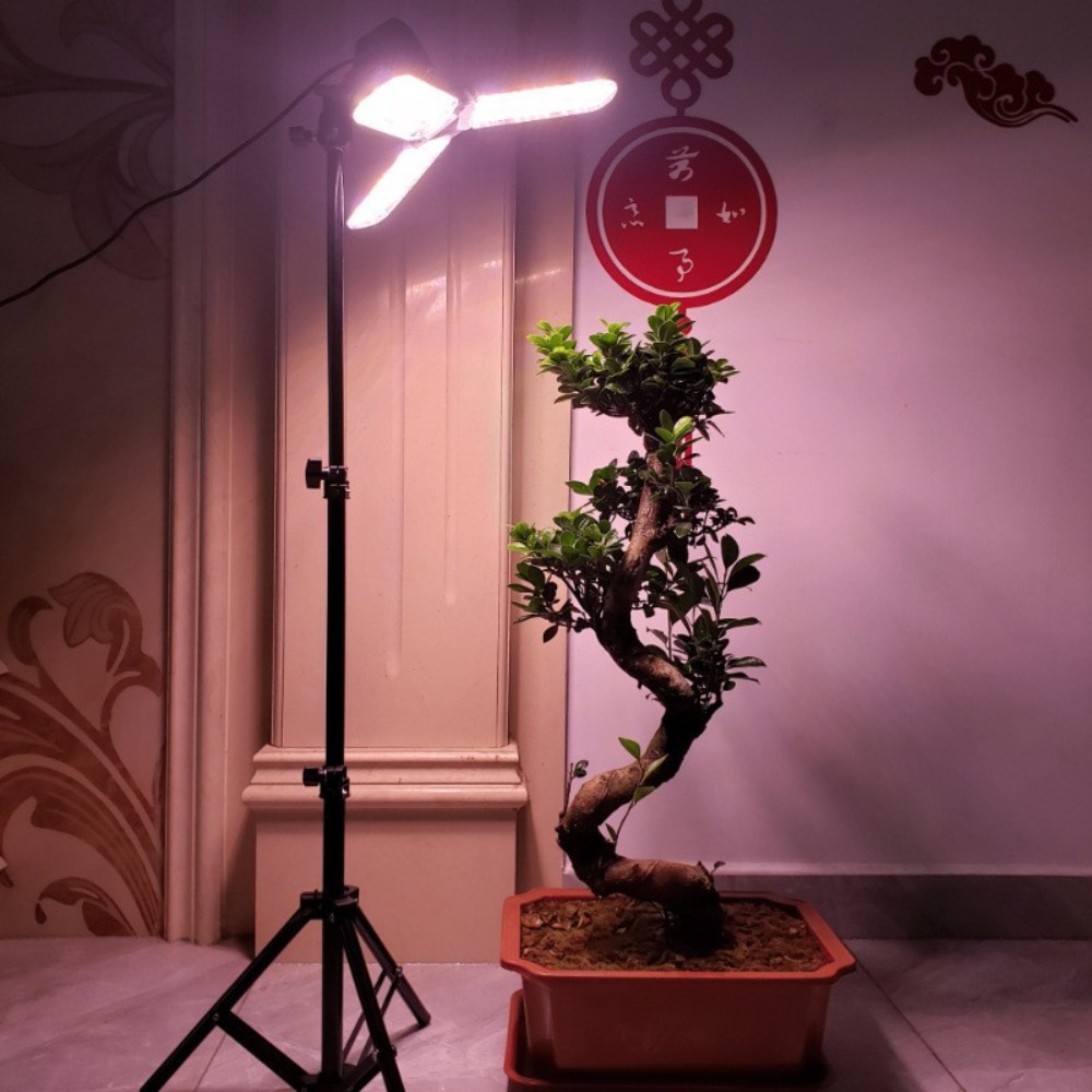 Suporte de lâmpada 2m, soquete - Photography Lighting Mount avaliação e preço